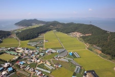 옹진포토-북도면 장봉2리 기획팀외주촬영 2014년10월 내용 | media