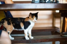 옹진민박 > 해변민박 민박 상세 페이지 옹진민박