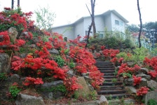 숙박업소정보 전체-솔향수민박 내용 | tour>음식/숙박/쇼핑>숙박업소정보