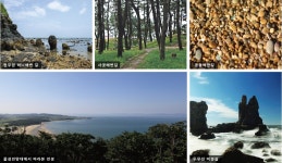 흰나래길 소개 | tour>테마여행>트레킹·캠핑 여행>백령흰나래길