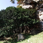 대청면 | tour>추천여행>2박3일 코스