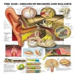 오픈메디칼 - 생활건강의료기기 종합몰 오픈메디칼