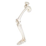 오픈메디칼 - 생활건강의료기기 종합몰 오픈메디칼