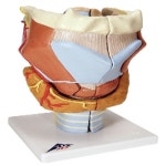 오픈메디칼 - 생활건강의료기기 종합몰 오픈메디칼