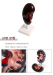 생활건강 의료기기 쇼핑몰 오픈메디칼 오픈메디칼