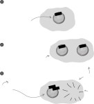 더 이상 참조가 없으면 객체는 가비지... 초월하는 객체지향 C# 학습법 [Book] Head First C# (개정3판): 상상을 초월하는 객체지향 C... 