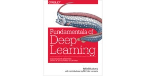 The Neural Network - Fundamentals of Deep Learning [Book] Fundamentals of Deep Learning