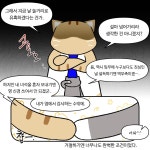 소통현장 (상세) : HOME > 사진 > 소통현장 파주뉴스