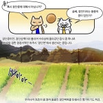 소통현장 (상세) : HOME > 사진 > 소통현장 파주뉴스