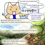 소통현장 (상세) : HOME > 사진 > 소통현장 파주뉴스