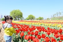 소통현장 (상세) : HOME > 사진 > 소통현장 파주뉴스