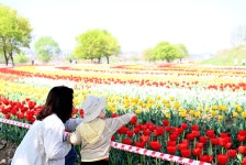 소통현장 (상세) : HOME > 사진 > 소통현장 파주뉴스