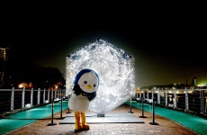 소통현장 (상세) : HOME > 사진 > 소통현장 파주뉴스