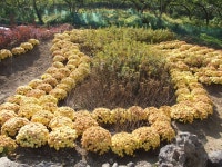 뉴스포탈 | 뉴스 상세