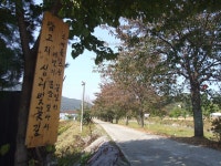 뉴스포탈 | 뉴스 상세