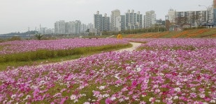 주요뉴스 (상세) : HOME > 뉴스 > 주요뉴스 파주뉴스