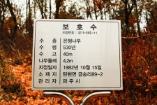 뉴스포탈 | 뉴스 상세