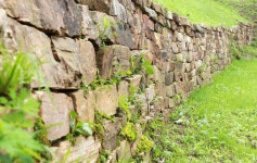 뉴스포탈 | 뉴스 상세