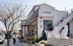 뉴스포탈 | 뉴스 상세