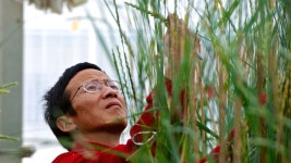 The Quest for Everlasting Agriculture | NOVA | PBS The Quest for Everlasting Agriculture