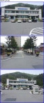 평창군입니다. 포토갤러리 - 진부면사무소 봄의 풍경 상세화면 | 평창군 평생학습관 > 열린마당 > 포토갤러리 평창군입니다. 평창행정