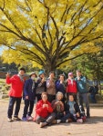 포토갤러리 - [2023년 성인문해교실] 상진부3리 마을회관-가을나들이 상세화면 | 평창군 평생학습관 > 열린마당 > 포토갤러리 평창군입니다.... 
