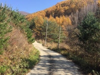 전체 - 강원도 평창군 미탄면 평안리 410  토지 매매하려고 합니다. 가격은 1300만원입니다. 상세화면 | 평창행정 > 참여마당... 