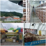 평창군입니다. 알뜰장터 - 최고의 추석선물 상세화면 | 평창읍 > 주민과 함께 > 알뜰장터 평창군입니다. 평창행정