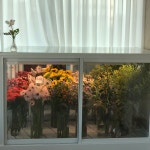 자유토론방 - (평창꽃집) 익일 7/27(수) 마이미플레르 정식오픈합니다. 상세화면 | 봉평면 > 주민과 함께 > 자유토론방 평창군입니다. 평창행정