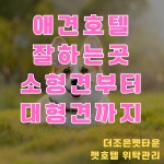 자유토론 - 반려동물 위탁관리,펫호텔,유치원 잘하는곳 상세화면 | 평창군청 > 참여마당 > 열린광장 > 자유토론