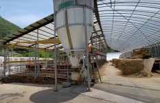 평창군입니다. 알뜰장터 - 정선군 정선읍 광하리 축사 매매 합니다 상세화면 | 용평면 > 주민과 함께 > 알뜰장터 평창군입니다. 평창행정