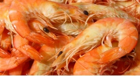 참여마당 > 열린광장 > 알뜰장터 알뜰장터 - ❤️❤️동해바다횟집  석화 가리비 새우찜  드시러오세여 ❤️❤️ 상세화면 | 평창군청... 