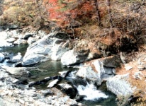 우리지역명소 - 장전계곡 마을관리휴양지 상세화면 | 대관령면 > 마을둘러보기 > 우리지역명소