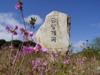 평창군입니다. 우리지역명소 - 금당계곡 상세화면 | 대화면 > 마을둘러보기 > 우리지역명소 평창군입니다. 평창행정