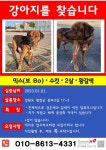 평창군입니다. 알뜰장터 - 종부리에서 잃어버린 개를 찾습니다. 상세화면 | 대관령면 > 주민과 함께 > 알뜰장터 평창군입니다. 평창행정