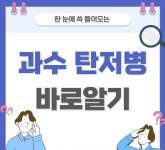 평창군입니다. 공지사항 - 과수 탄저병 방제 요령 상세화면 | 용평면 > 알림방 > 공지사항 평창군입니다. 평창행정