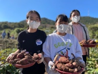 유초등학교 : 부산광역시교육청 2020 서브