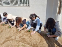 유초등학교 : 부산광역시교육청 2020 서브