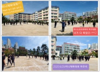 중학교 : 부산광역시교육청 2020 서브