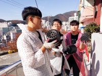 고등학교 : 부산광역시교육청