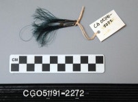 Tassel - CG051191-2272 | Collections - Penn Museum
