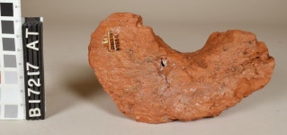 Online Collections - Penn Museum