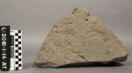 Online Collections - Penn Museum