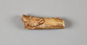 Online Collections - Penn Museum