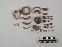 Cosmetic Shell - 30-12-486C | Collections - Penn Museum