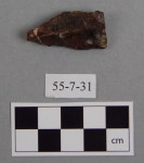 Projectile Point - 55-7-31 | Collections - Penn Museum