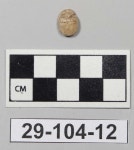 Scarab - 29-104-12 | Collections - Penn Museum