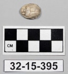 Scarab - 32-15-395 | Collections - Penn Museum