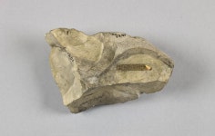Pick (uncertain), Adze (uncertain), Axe (uncertain), Nucleus (uncertain) - EU1251 | Collections - Penn Museum