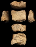 Tablet - 37-7-102 | Collections - Penn Museum